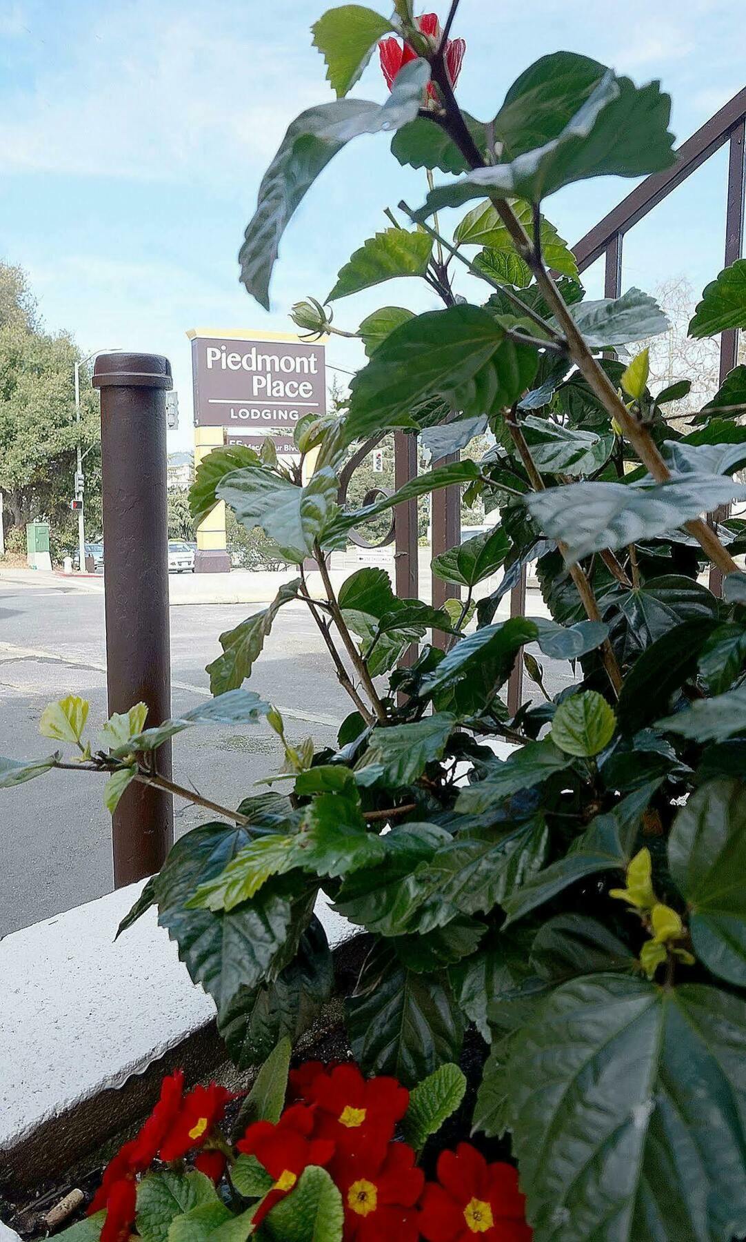 موتيل أوكلاند، كاليفورنيا Piedmont Place المظهر الخارجي الصورة